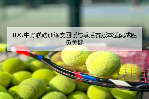 JDG中野联动训练赛回暖与季后赛版本适配成胜负关键