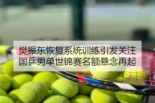 樊振东恢复系统训练引发关注 国乒男单世锦赛名额悬念再起